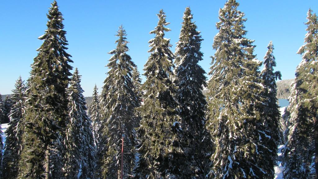 Apartments Vanja I Vrh Kopaonik Buitenkant foto